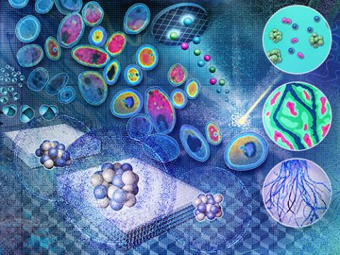 Isotope and Chemical Analysis composite illustration