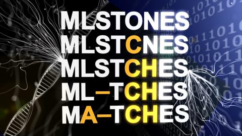 MLSTONES 