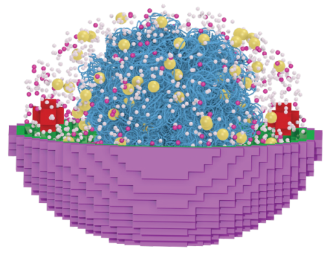3D rendering depicting how a phage interacts with a pathogen host at the regulatory and metabolic levels.