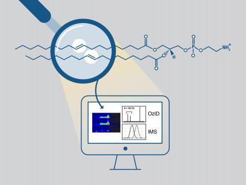 Robust Data Analysis Tool