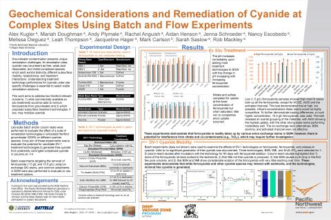 RemPlex 2025 Poster - Alex Kugler