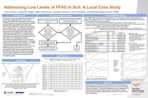 RemPlex 2025 Poster - Amoret Bunn