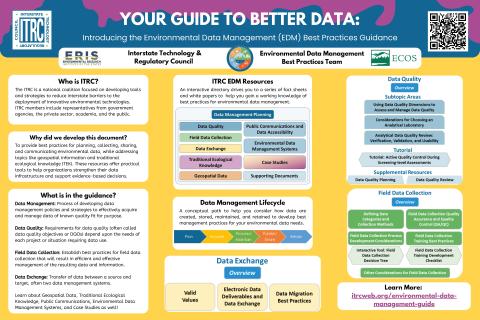 RemPlex 2025 Poster - Charles Reyes_EDM Poster