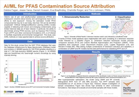 RemPlex 2025 Poster - Debbie Fagan