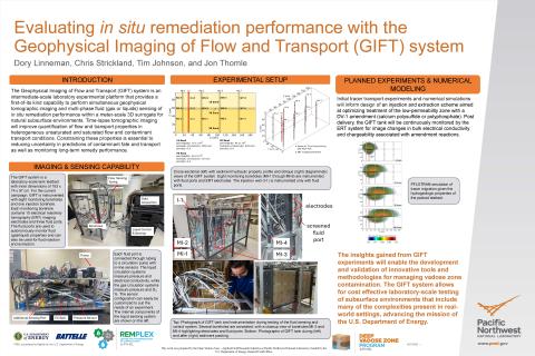 RemPlex 2025 Poster - Dory Linneman