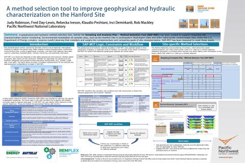 RemPlex 2025 Poster - Judy Robinson