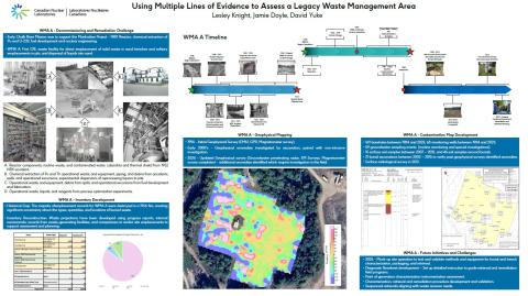 RemPlex 2025 Poster - Lesley Knight David Yuke