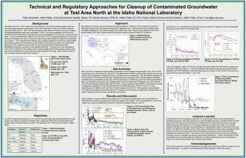 RemPlex 2025 Poster - Pete Johansen