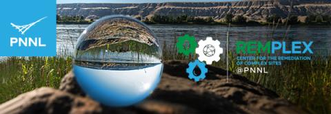 RemPlex newsletter header 2022
