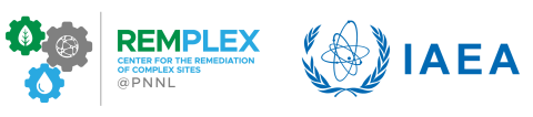 The RemPlex and IAEA logos are side-by-side, representing the cooperation for the 2025 Global Summit.