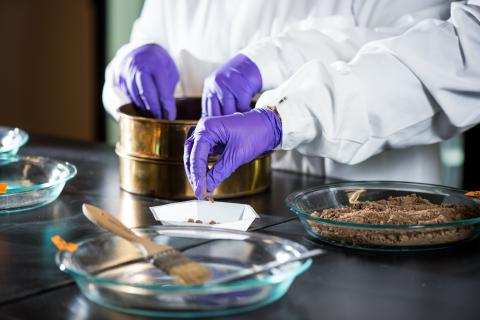 SoilColumnLab