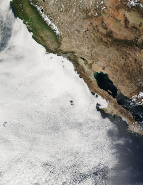 Stratocumulus clouds above the coast of California
