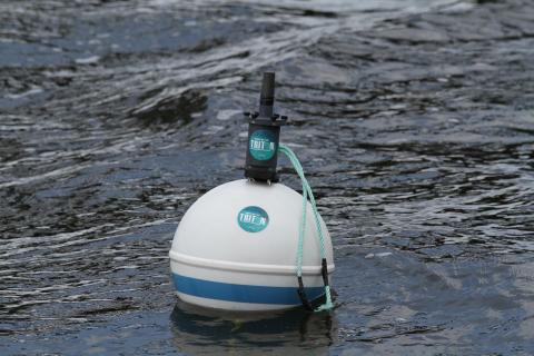 Triton buoy deployed at sea. 