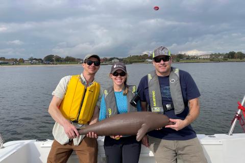 Marine Wildlife Tracking and Detection Project team. 