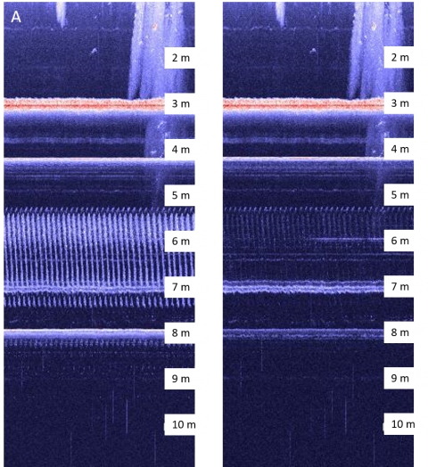 tritonenvironmentalmonitoringtechnologyimage