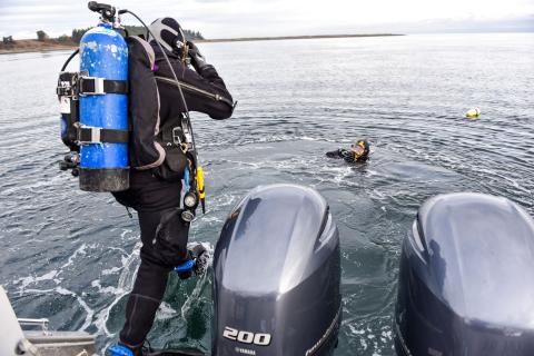 A diver jumps into the water. 