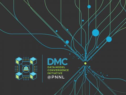 DMC Initiative logo