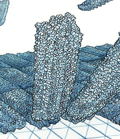 Illustration of a nanoribbon