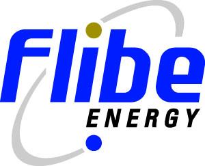 Company logo showing Flibe Energy