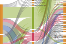 Screenshot of a policy analysis tool