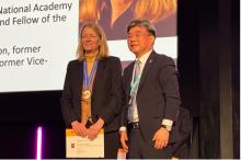 Purdue University Rock Physics Professor Laura Pyrak-Nolte stands on a stage while being honored as an ISRM Fellow.