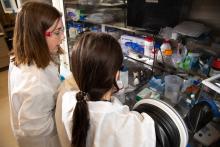 Two scientists at a glovebox, working