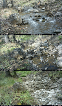 Three-month game camera time series of drying in a non-perennial stream in Oak Creek Watershed, WA