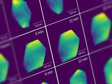close up of multicolored electron microscope images