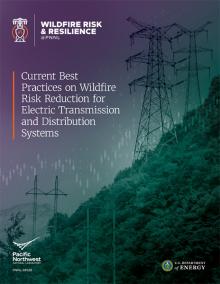 a document cover showing the name of the Wildfire Risk Reduction report over a purple and green photo of electric towers in a forested area