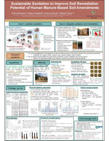 RemPlex 2025 Poster - Trisha Nickerson