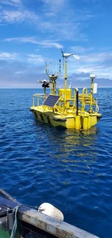 ThermalTracker-3D deployed on California buoy