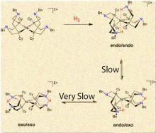 Nickel Catalyst