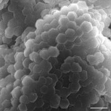 close up TEM of mesocrystal made of nanoplatelets