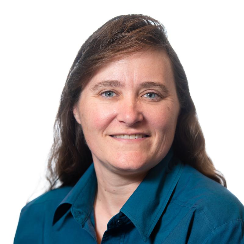 Dawn Wellman leads the Earth Systems Science Division