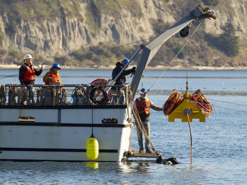 Deployment of CRABEE