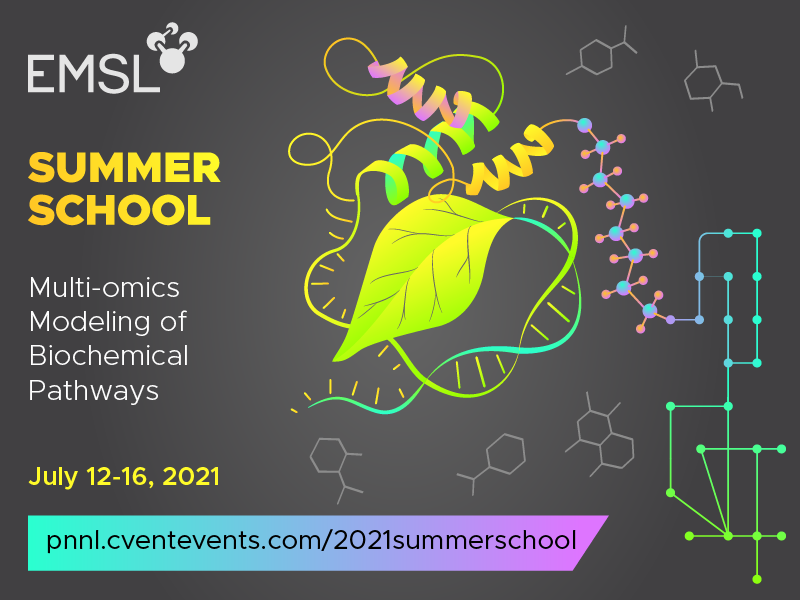 EMSL Summer School