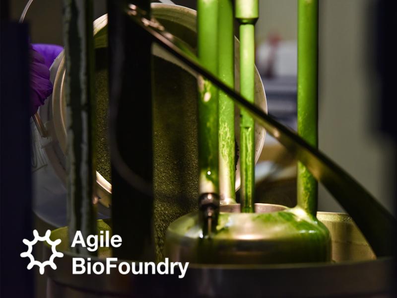 Agilebiofoundrythumbnail