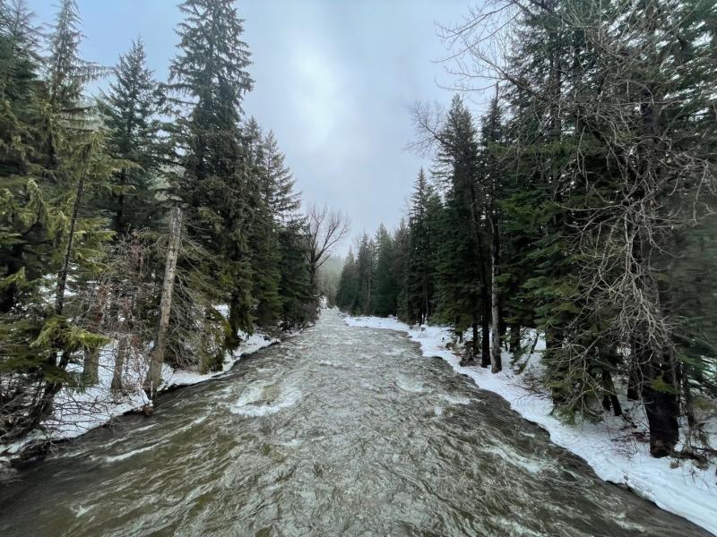 A river running through a forest in Winter