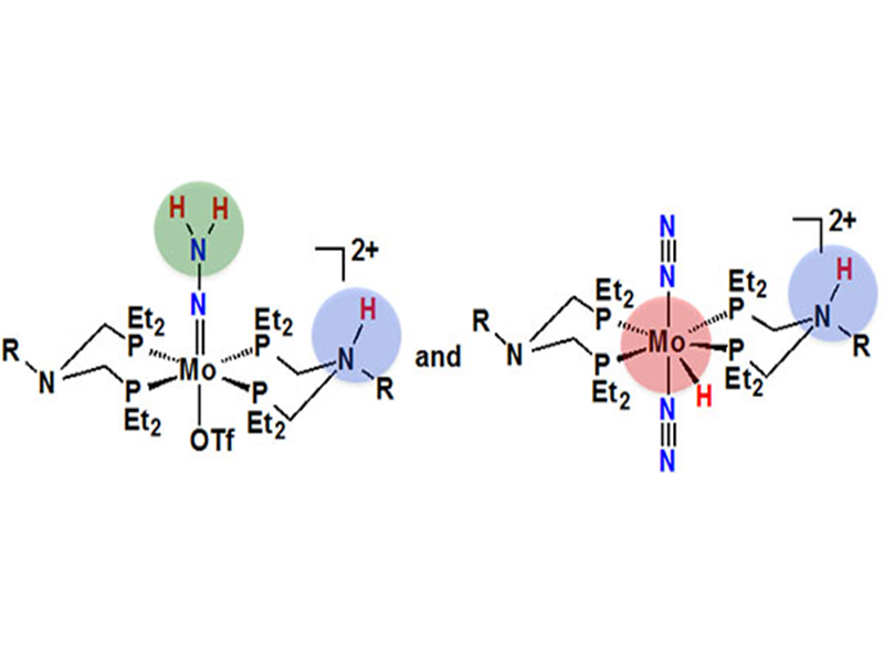 Ammonia Catalysis 2