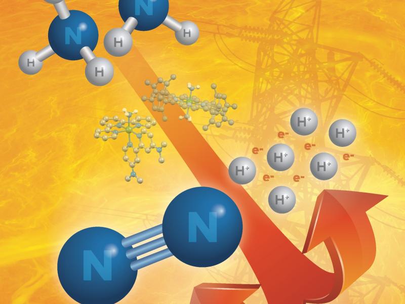 Chemical structures on a bright yellow-orange background