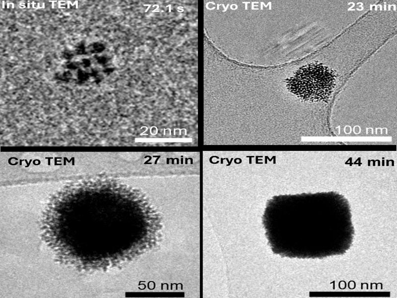 Four panels of electron microscopy images
