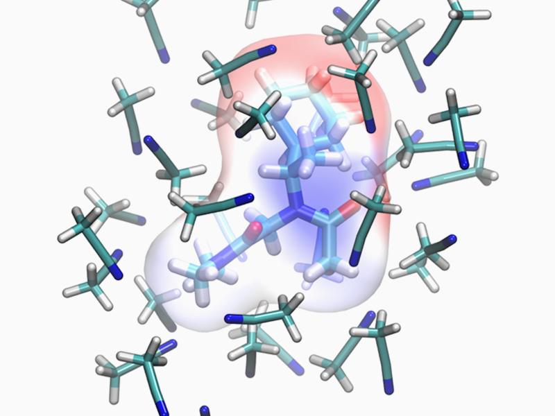 Molecular structure of peptoids and force fields