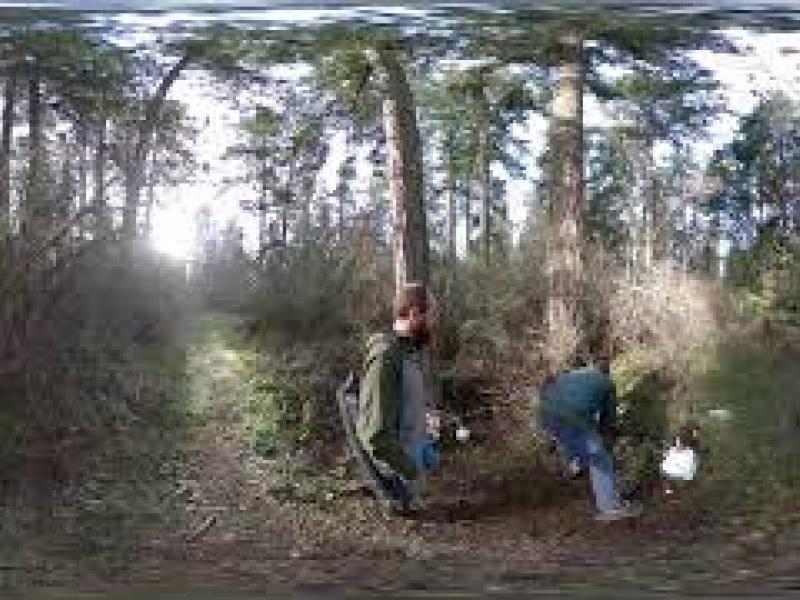 Biochemistry and Tree Core Testing at PNNL-Sequim