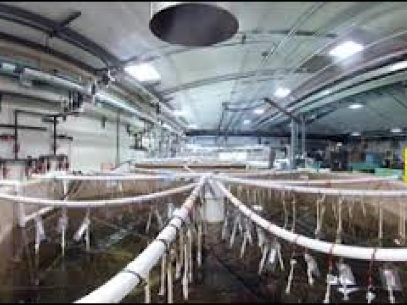 Biofouling Research