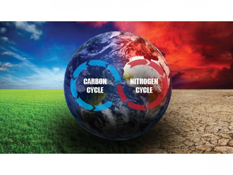 CO2NO-cycle-climatechange-b_576x324