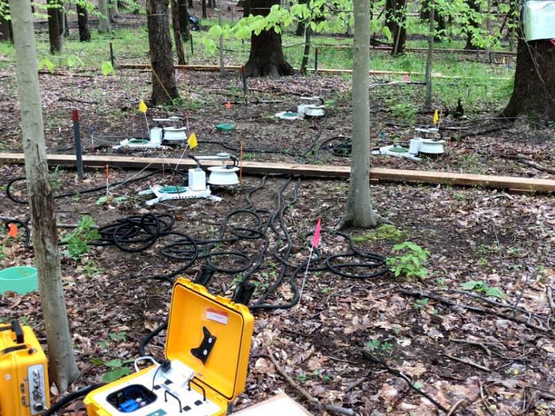 Box-like instruments on the ground near trees