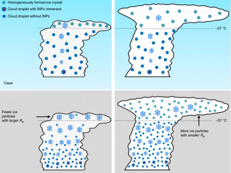 Ice Nucleation