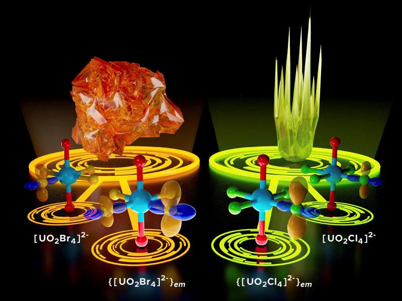 metal-ligand interactions of uranyl complexes