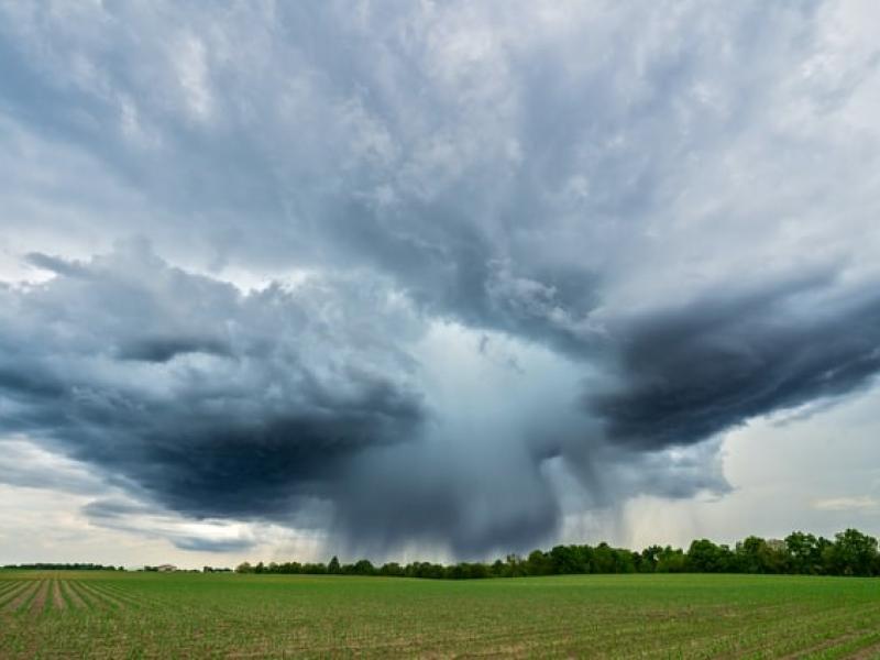 Stormclouds over a green field