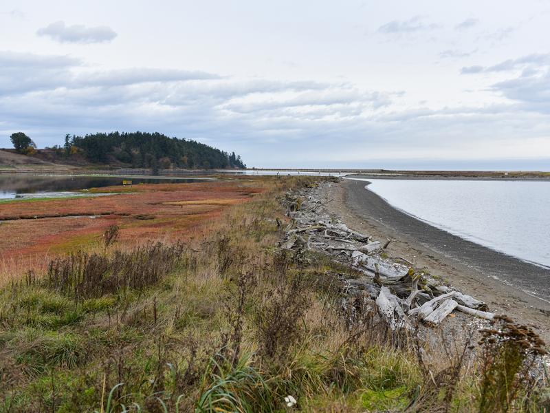 Coastal Science at Sequim Washington